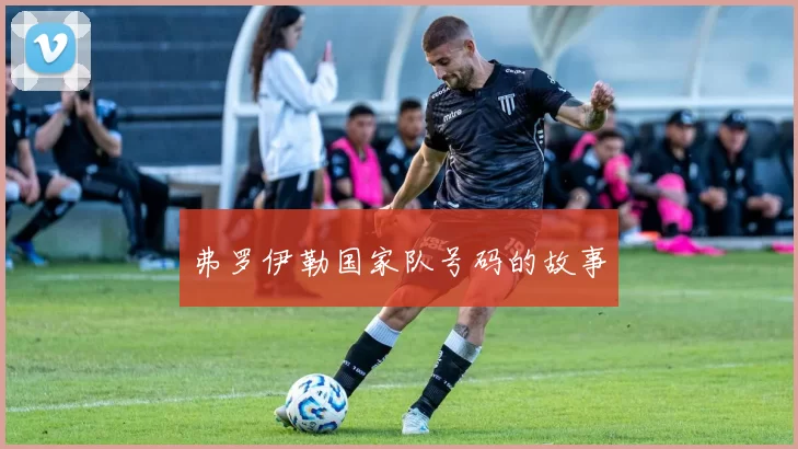 弗罗伊勒国家队号码的故事